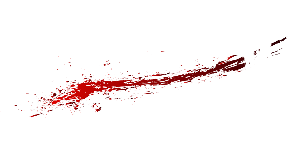 Logo Noir sur Blanc simple